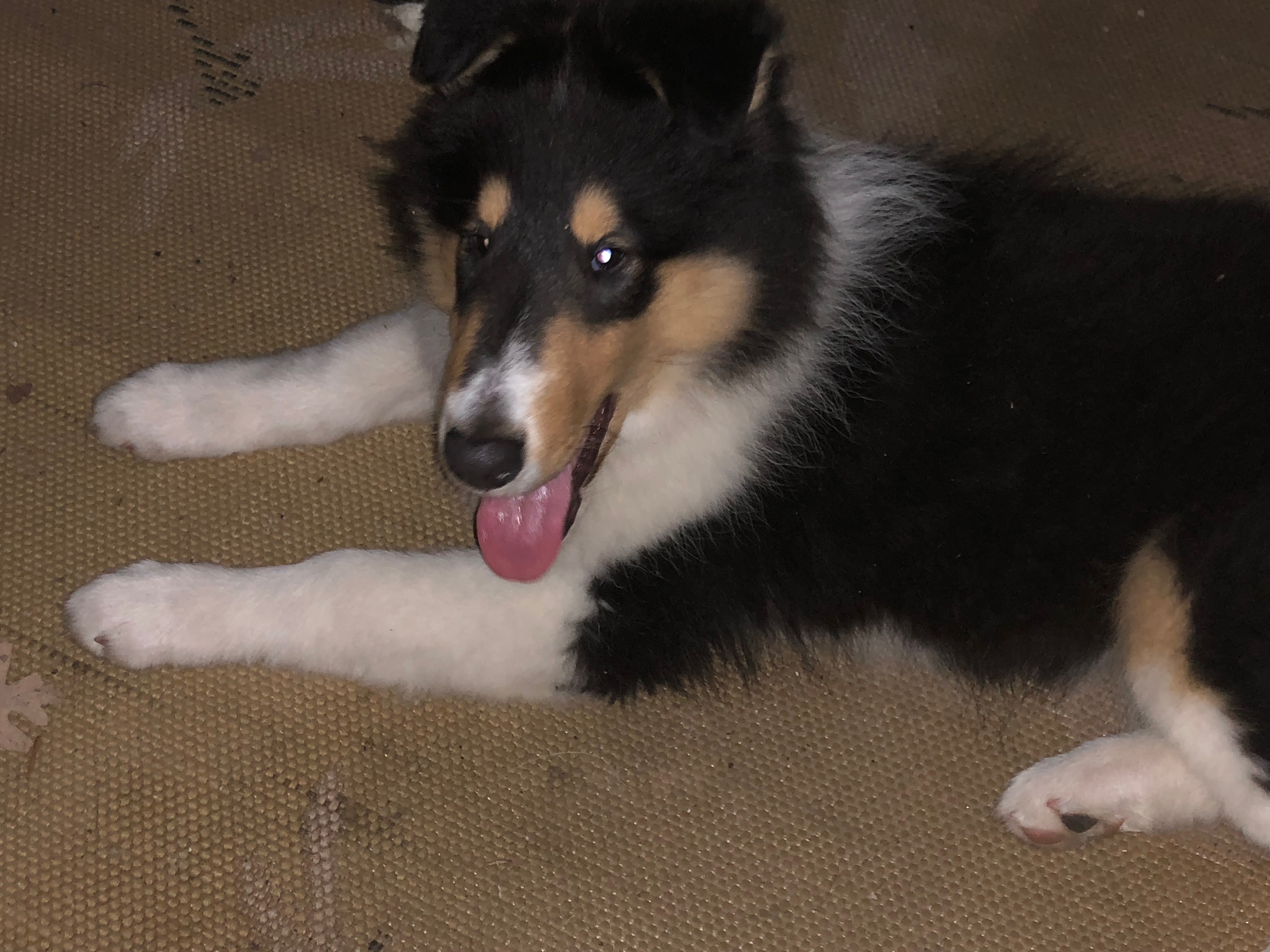 Zephyr relaxing