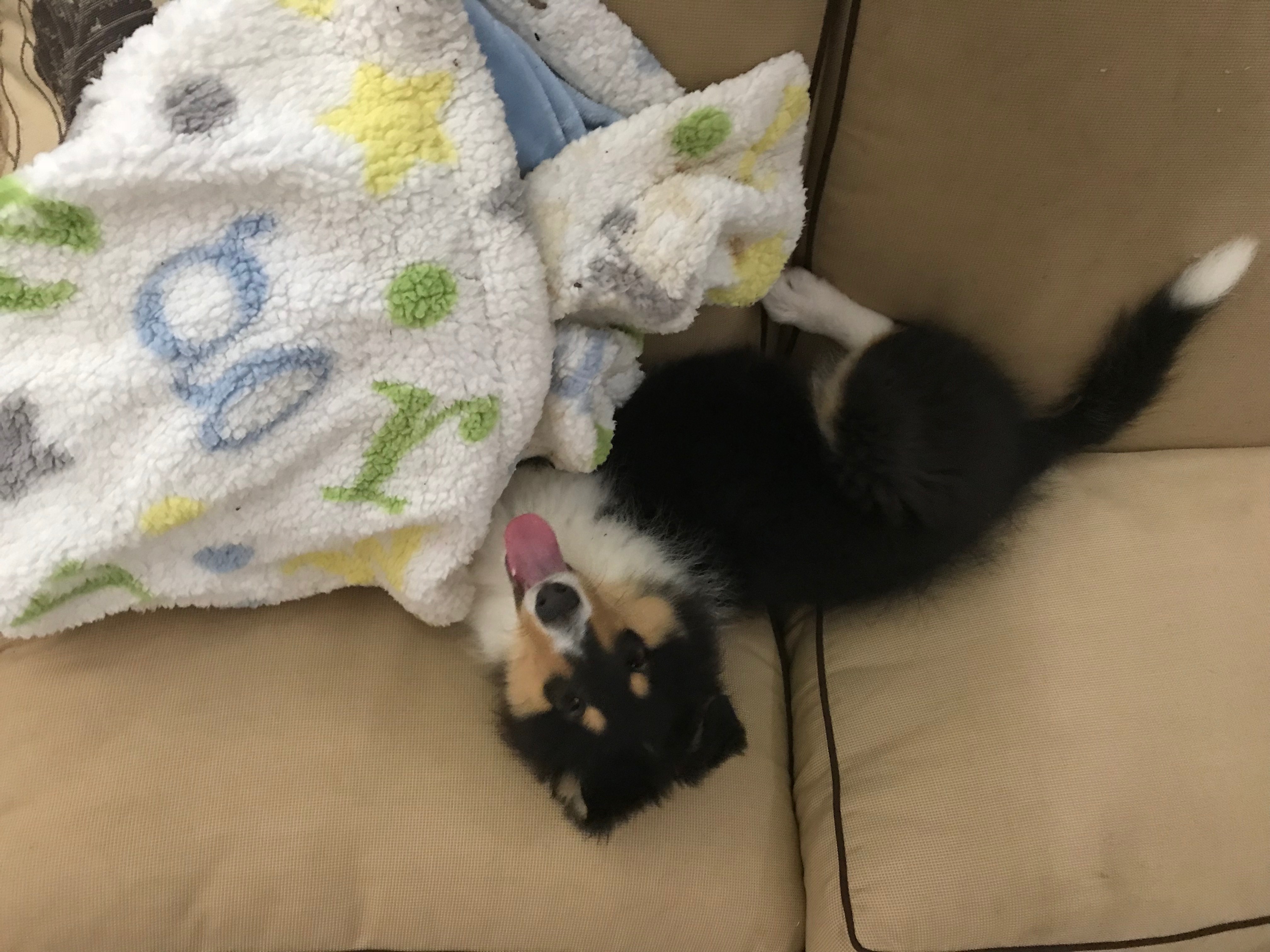 Nap time?