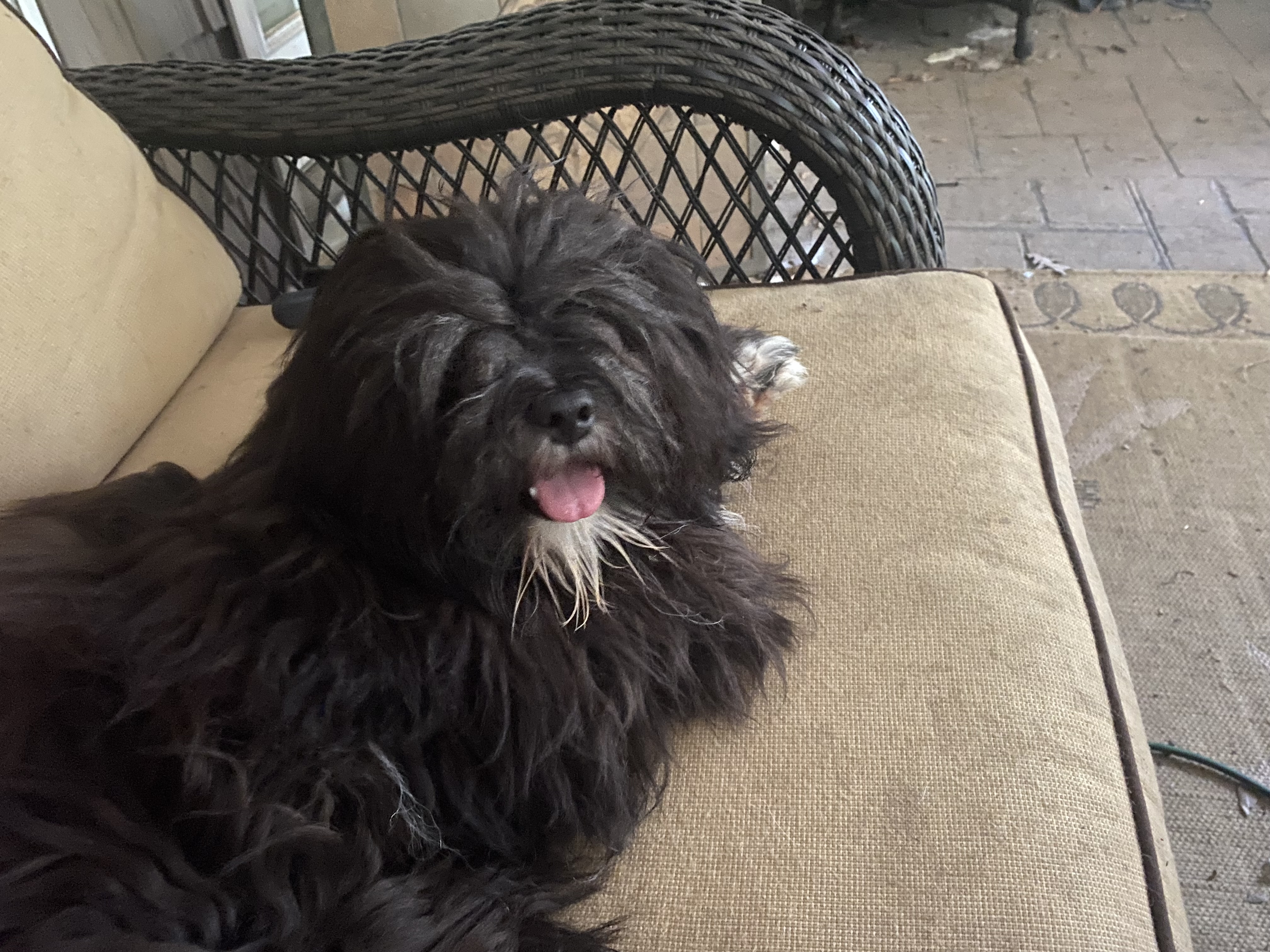 Emmitt Chilling Out