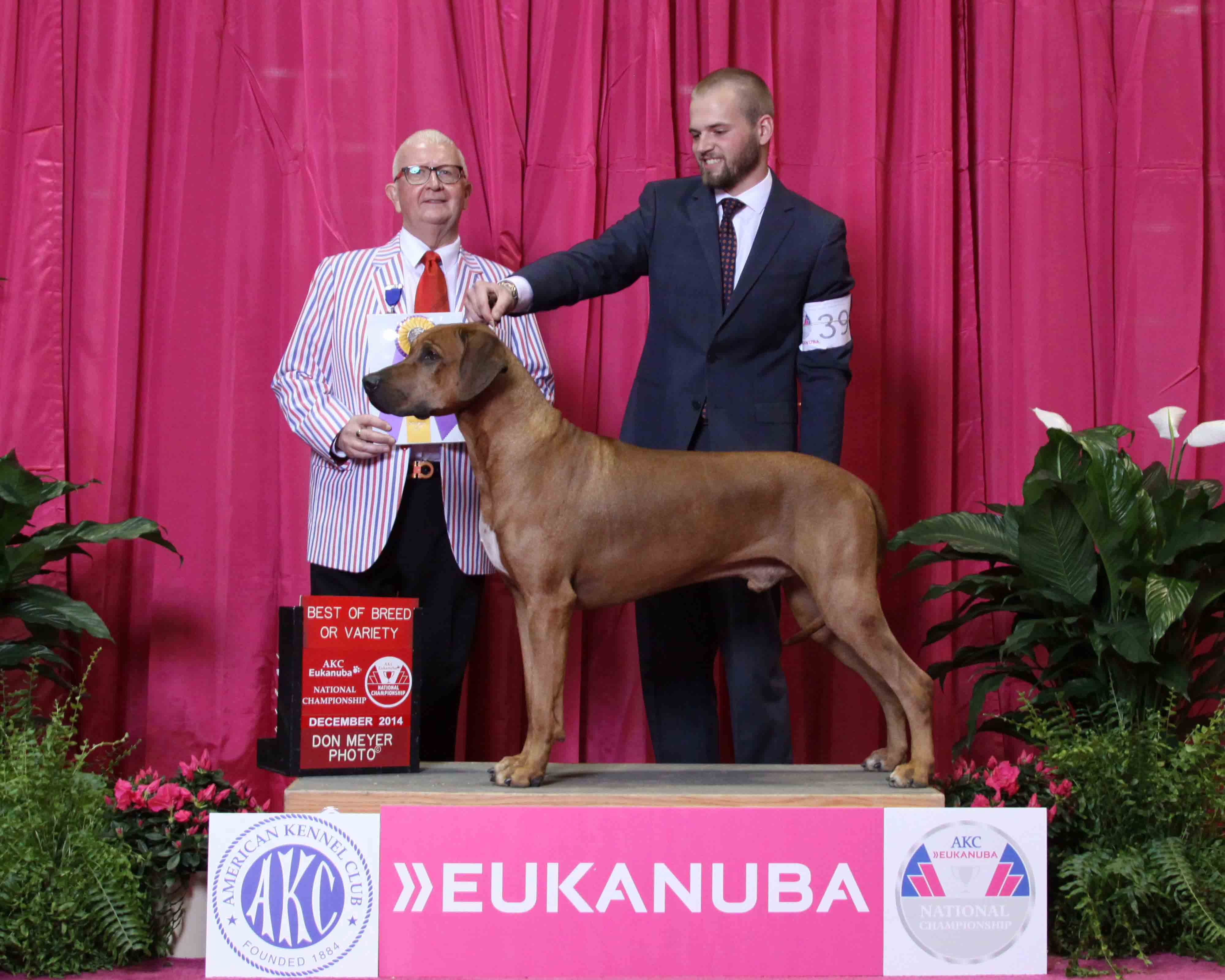 2014 AKC National BOB
