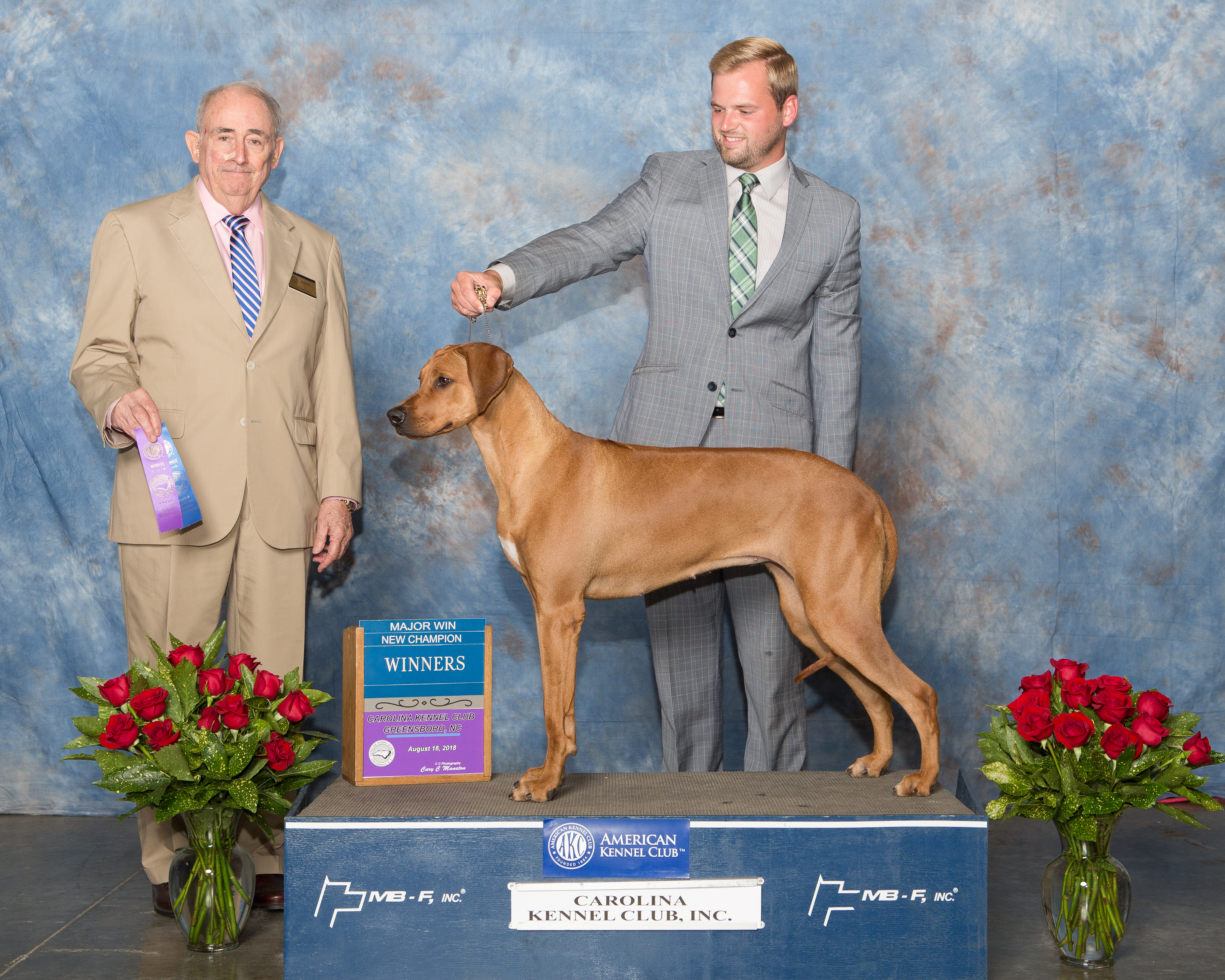Lucy's Championship