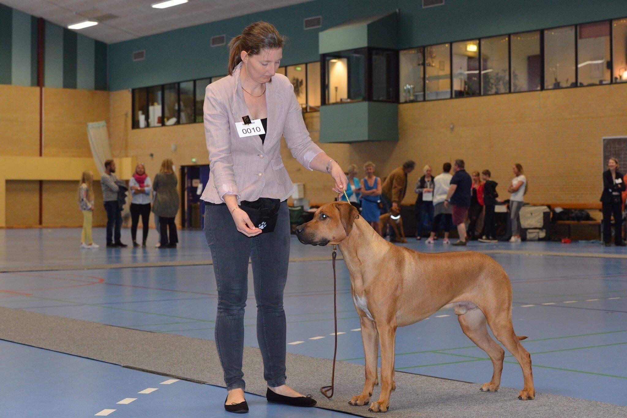 Juba SHowing